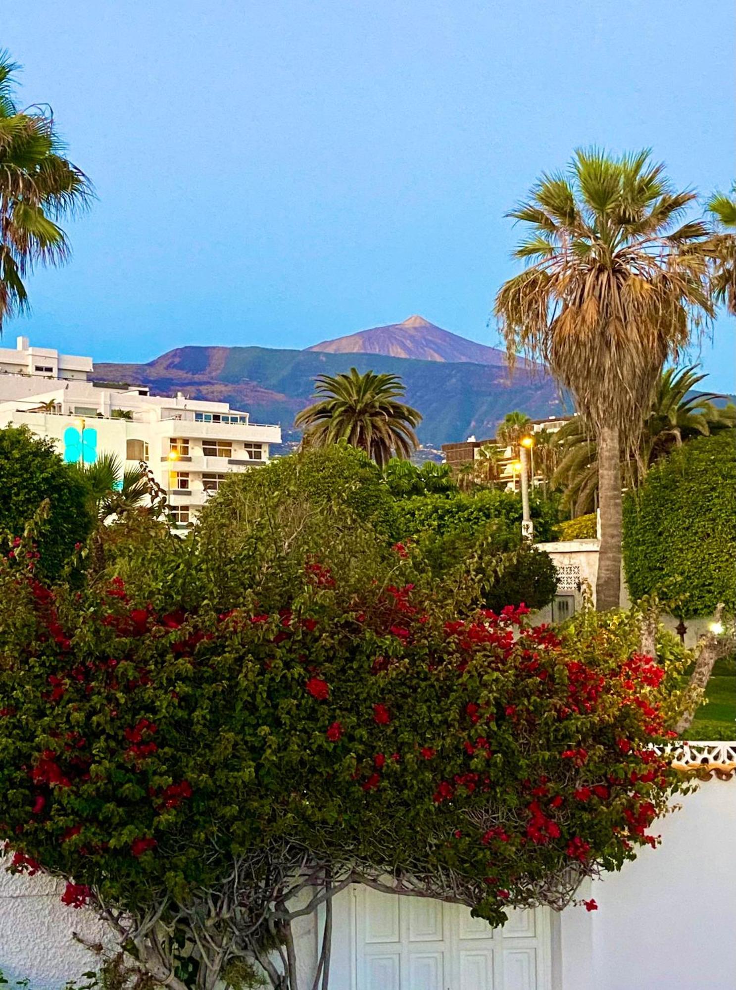 Villa Oasis La Paz - Pelinor Studio - Adults Only Puerto de la Cruz  Eksteriør bilde