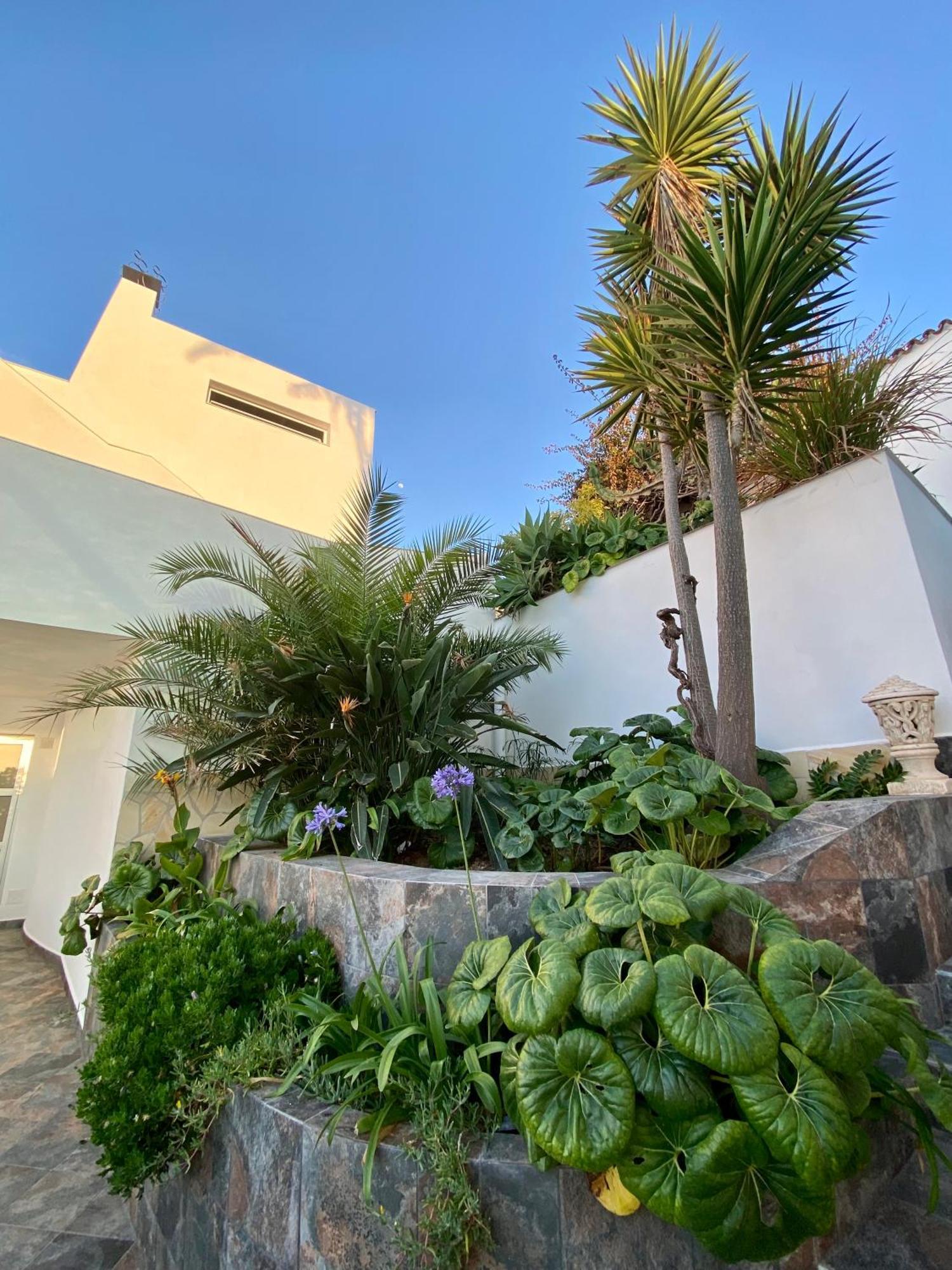 Villa Oasis La Paz - Pelinor Studio - Adults Only Puerto de la Cruz  Eksteriør bilde